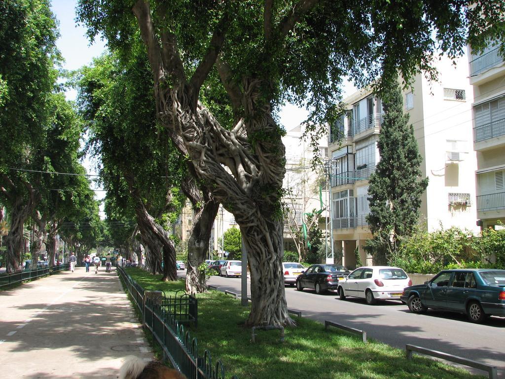 فندق بلو سي ماربل تل أبيب المظهر الخارجي الصورة